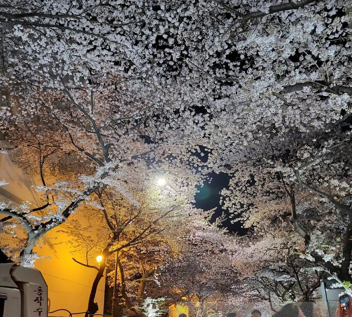 Ferienwohnung Syjm Dong-A Busan Südkorea